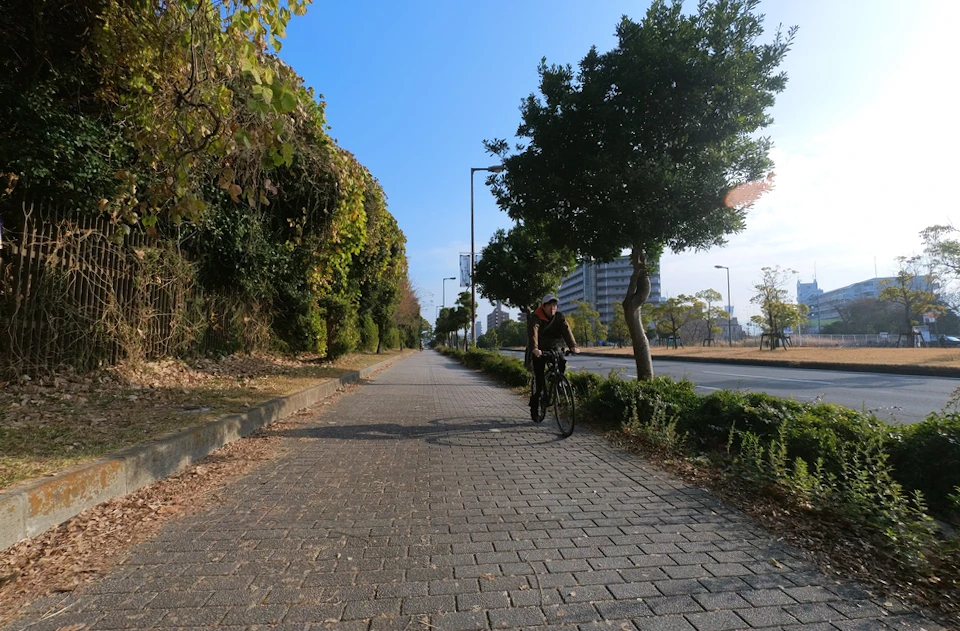 Sidewalk of Hanahaku-dori