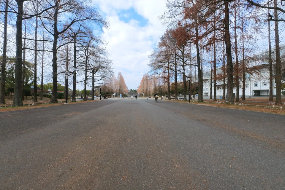 Arrived at Trurumi Ryokuchi Park