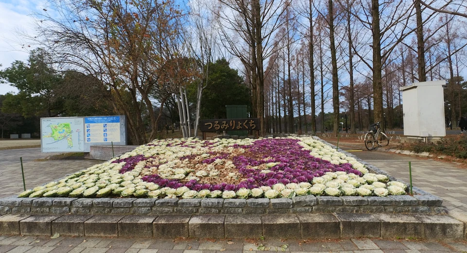 Cabbage-like flowers