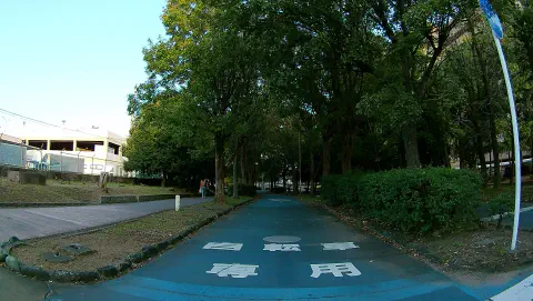 Blue-painted cycling road