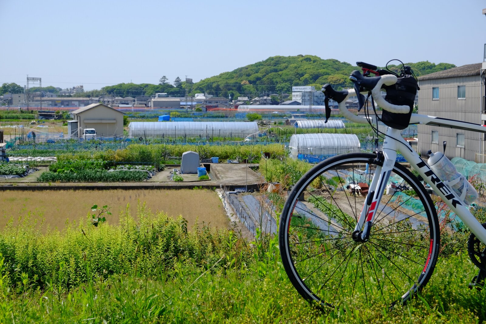 Bicycle and Hōnda Gobyōyama Kofun in the distance