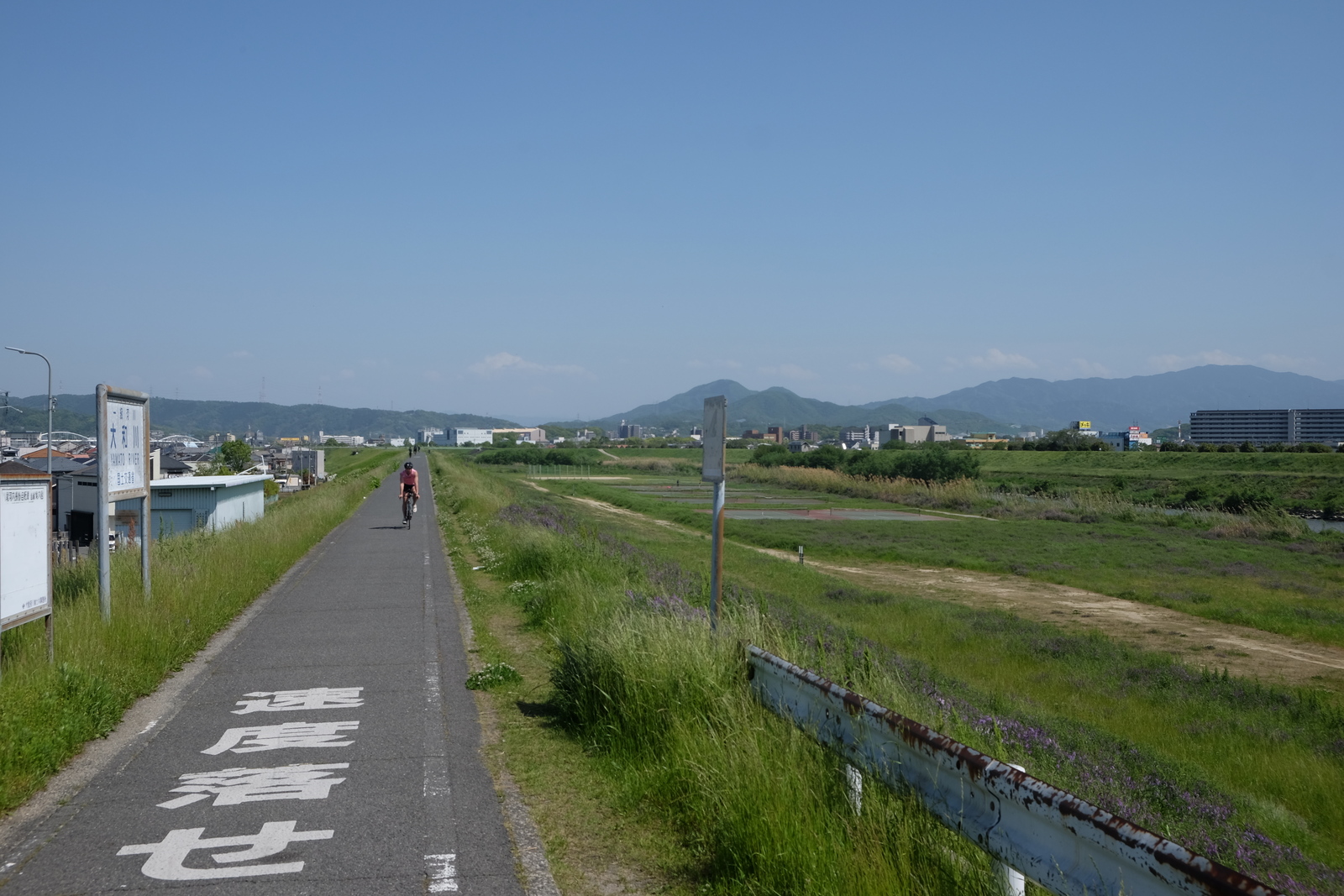Cyclists proceeding on the South Kawachi Cycle Line