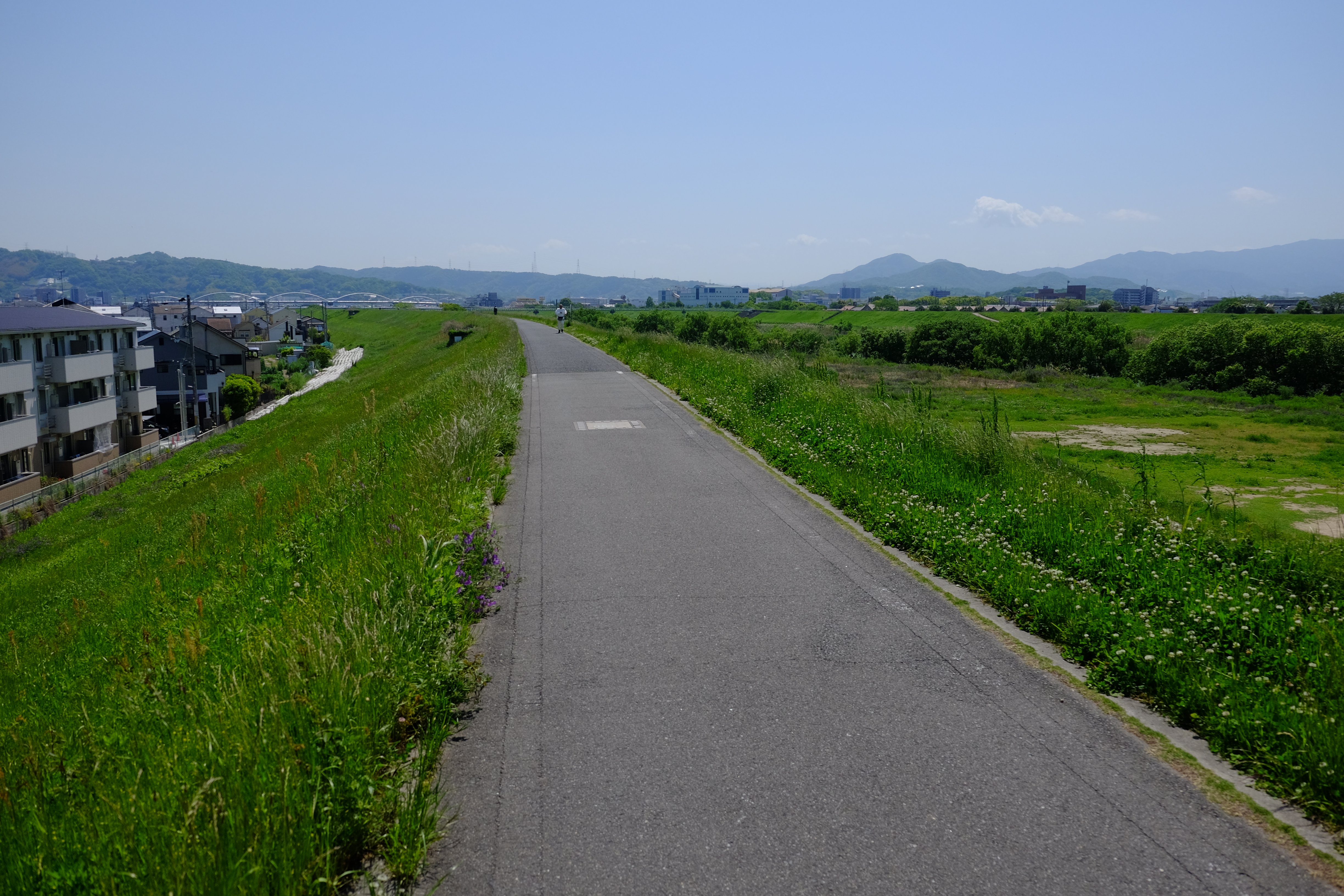 Cycle road along the river