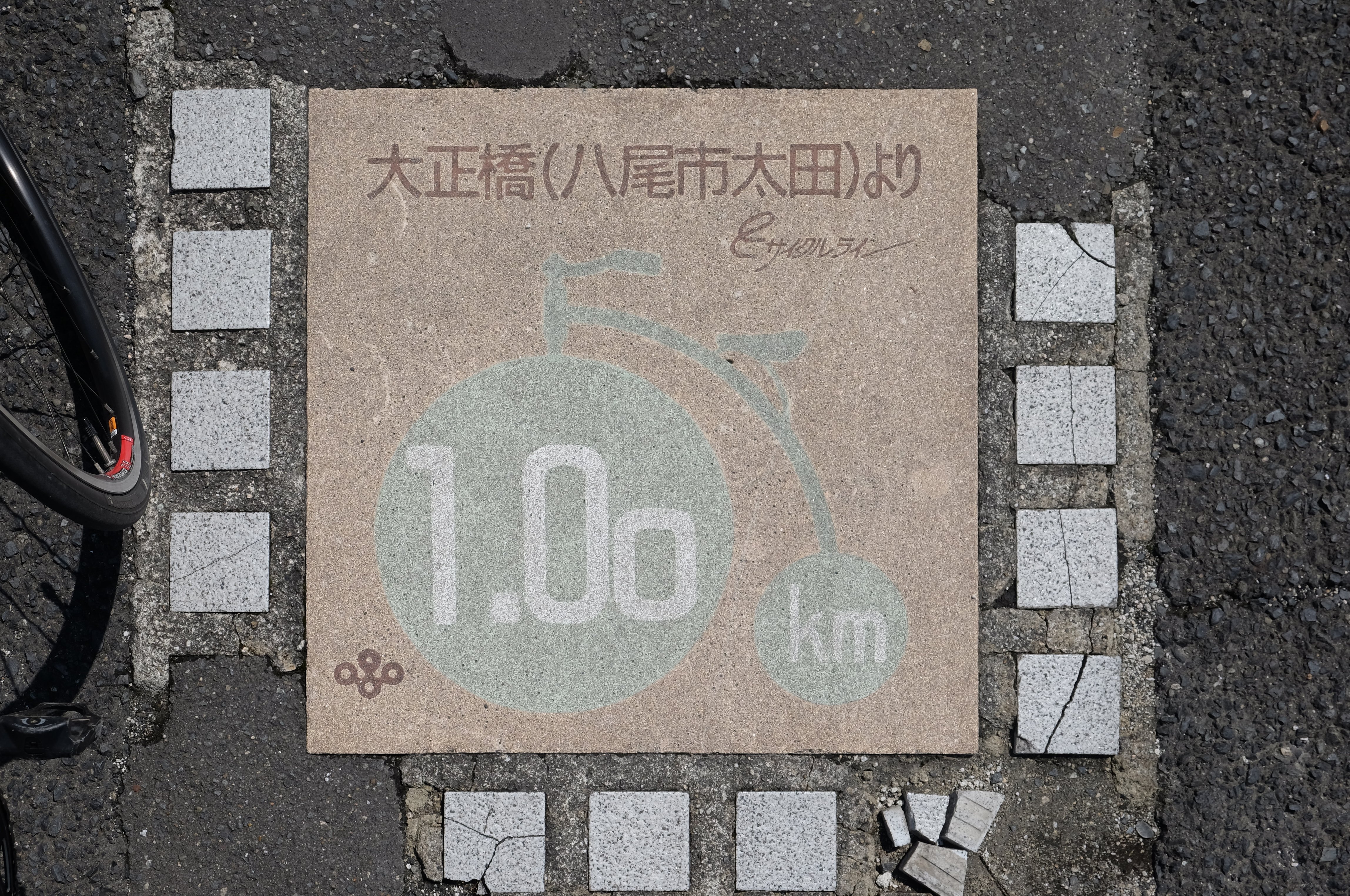 Distance from the starting point