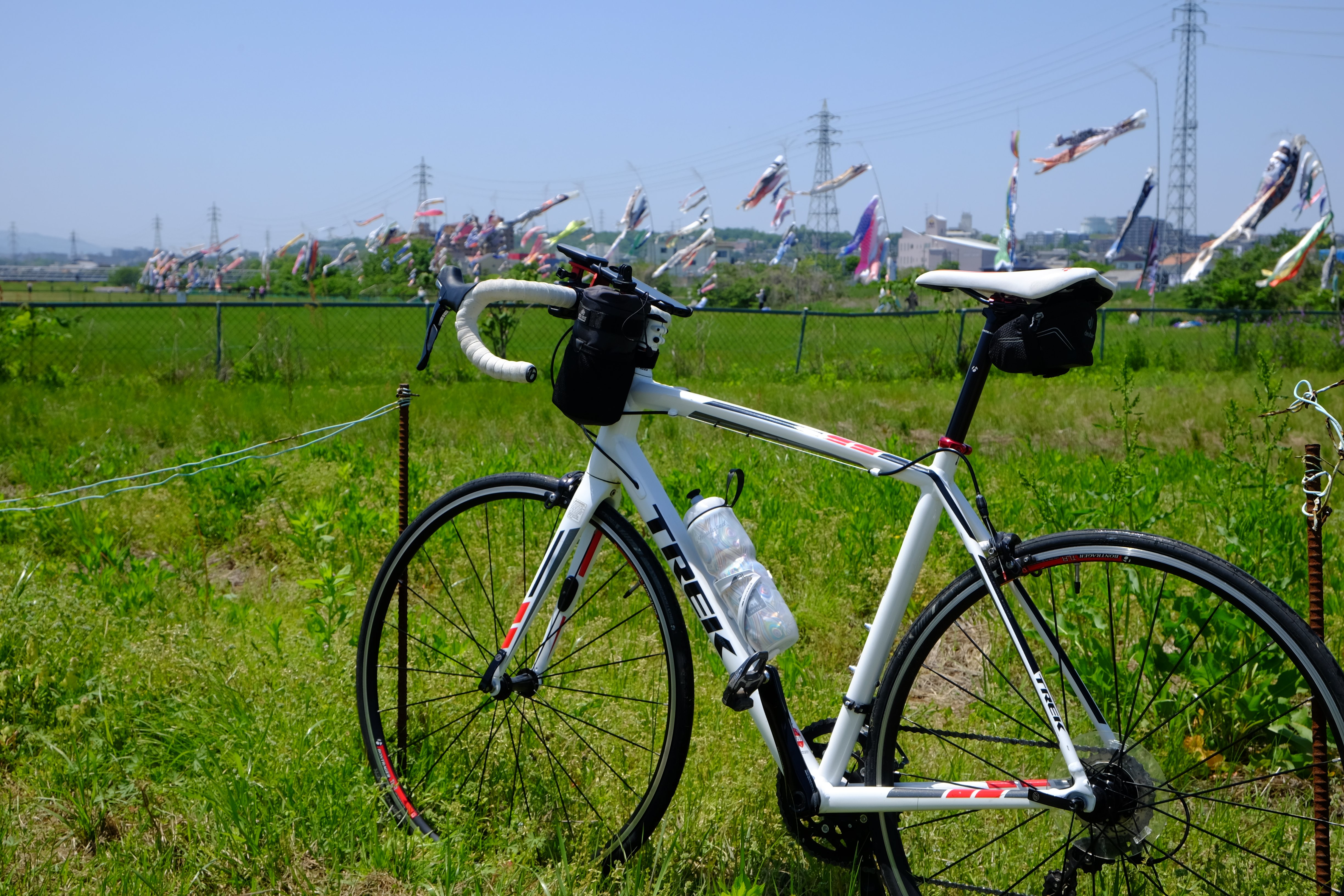 Koi carp streamers in the riverbed plaza